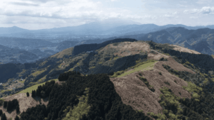 にっぽん百低山「大野山・神奈川」の詳細ページへ